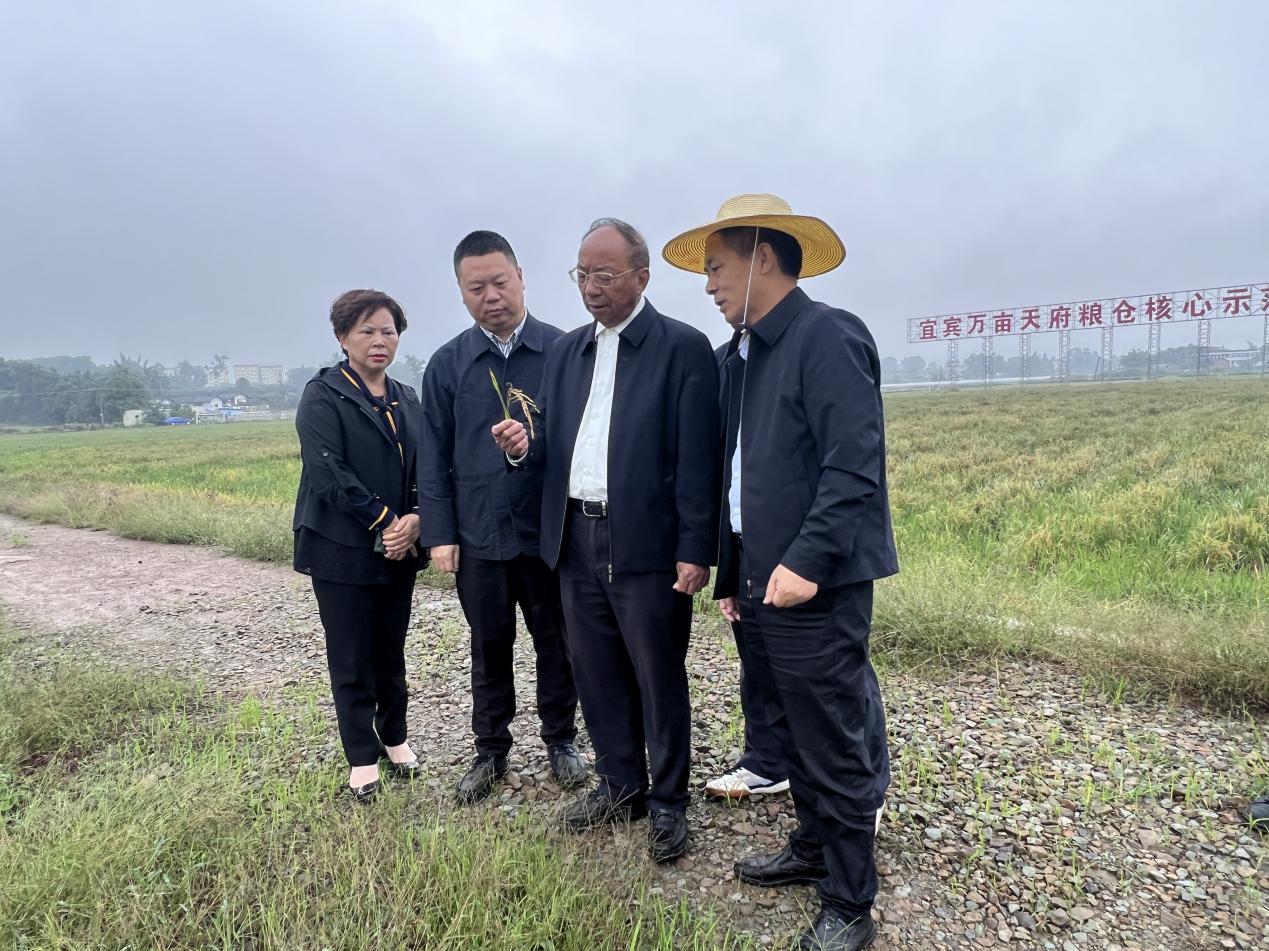 图片2.jpg 图片2.jpg