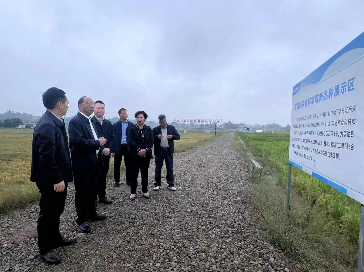 图片3.jpg 图片3.jpg