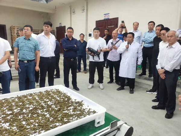 图片9.jpg 图片9.jpg