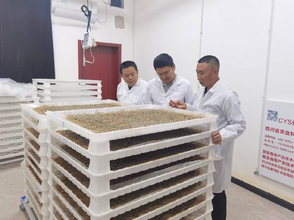 图片10.jpg 图片10.jpg