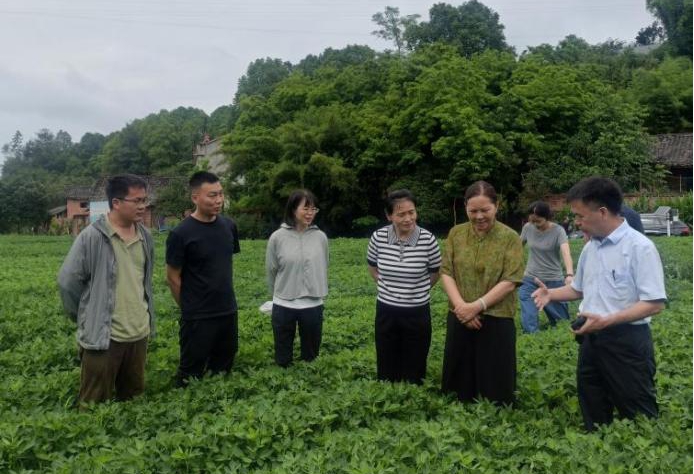 图片5.jpg 图片5.jpg