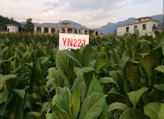 图片3.jpg 图片3.jpg