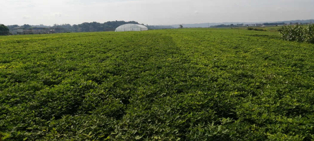 图片5.jpg 图片5.jpg