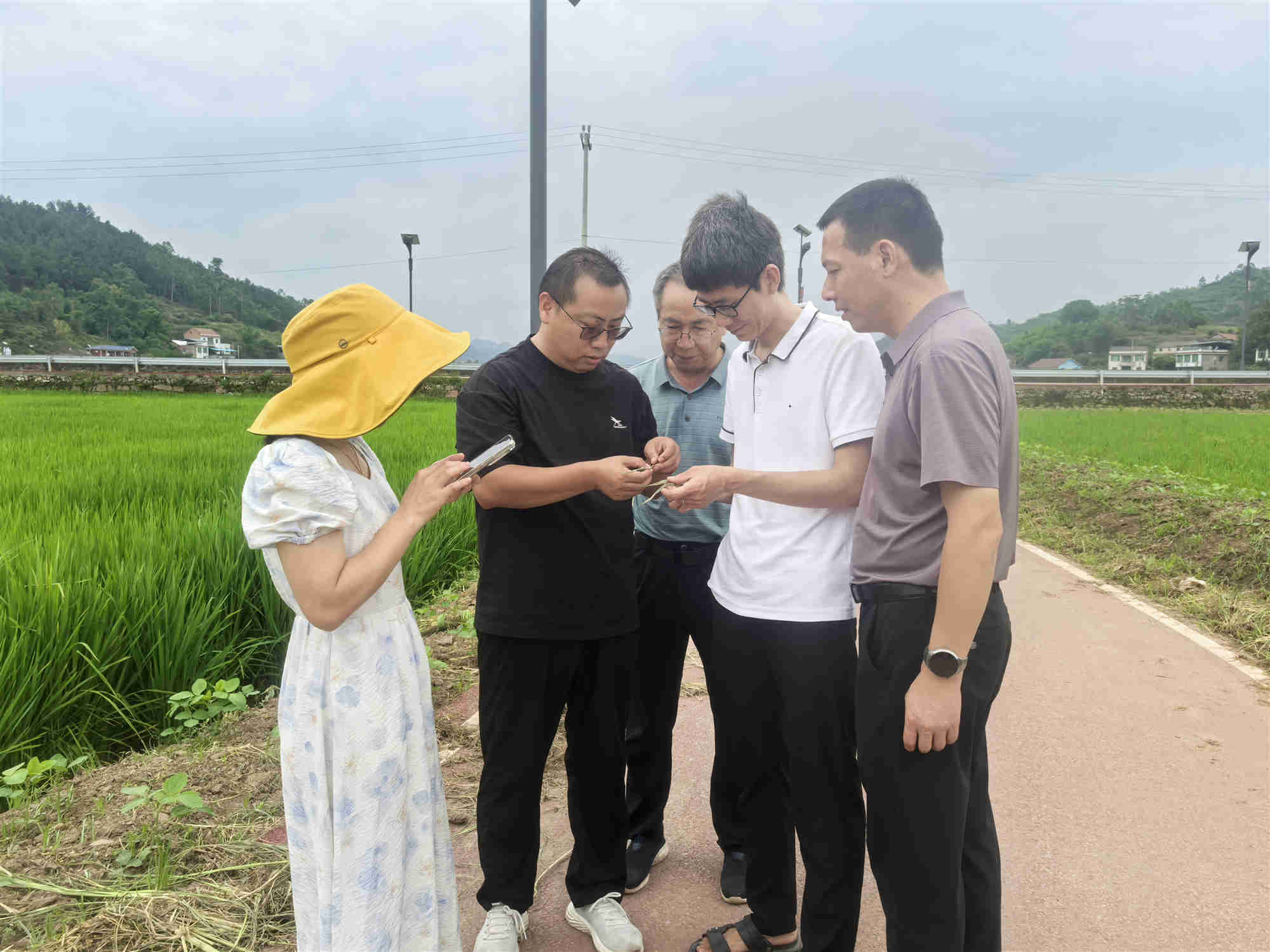 图片3_副本.jpg 图片3_副本.jpg