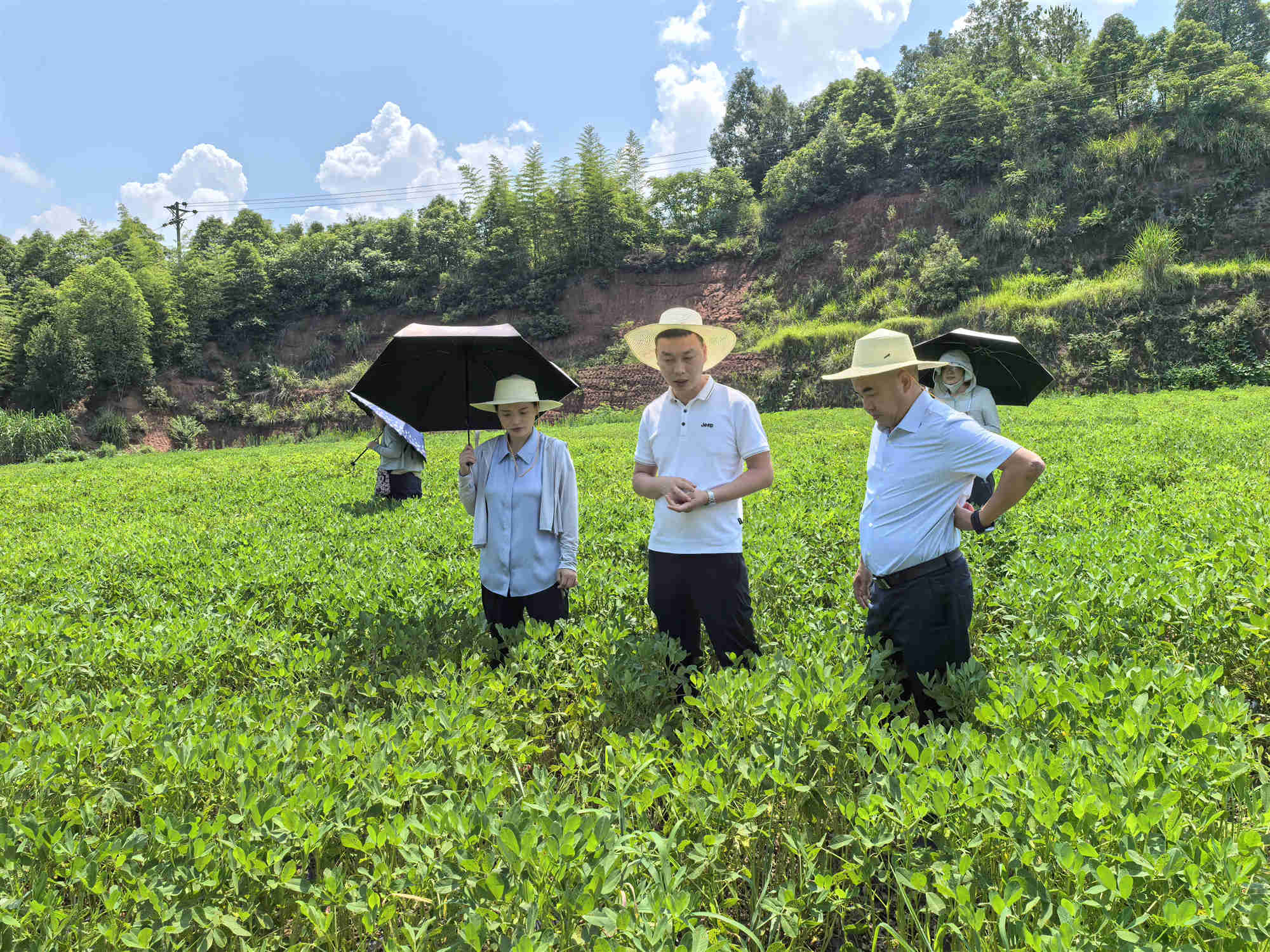 图片2_副本.jpg 图片2_副本.jpg