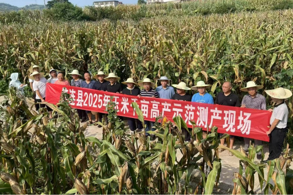 图片1_副本.jpg 图片1_副本.jpg