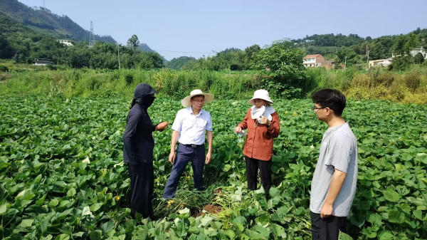 图片1_副本.jpg 图片1_副本.jpg