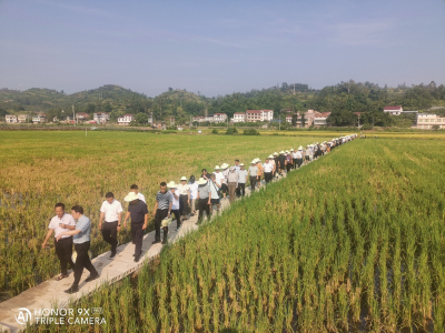 图片6_副本.jpg 图片6_副本.jpg