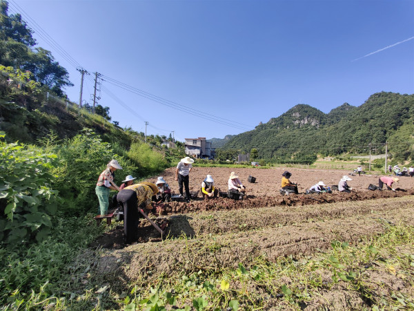 图片3_副本.jpg 图片3_副本.jpg