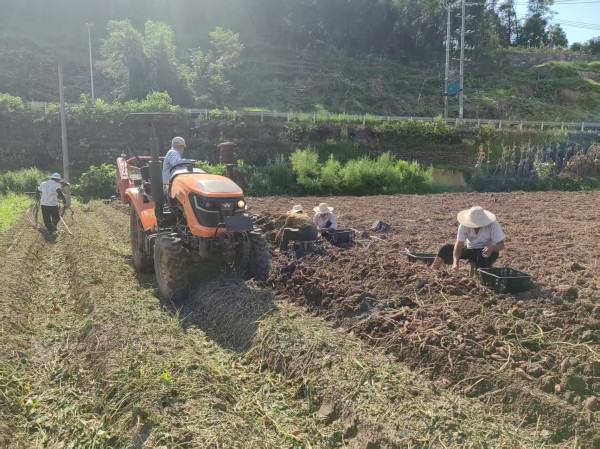 图片4_副本.jpg 图片4_副本.jpg