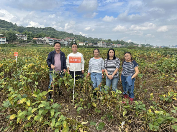 图片1_副本.jpg 图片1_副本.jpg