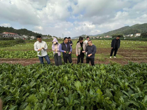 图片5.jpg 图片5.jpg