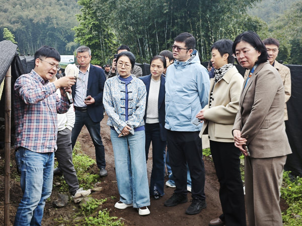 微信图片_20260409103901_副本.jpg 微信图片_20260409103901_副本.jpg