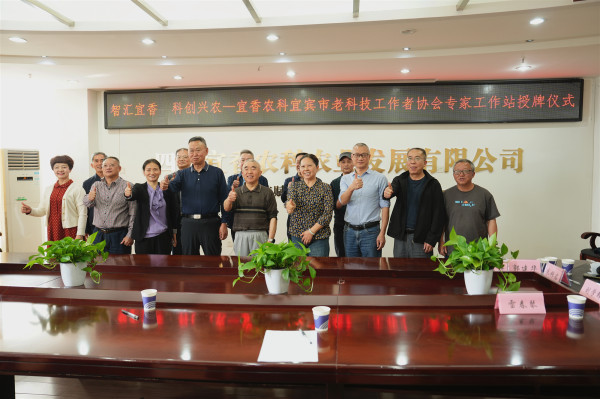 202604151449204145.jpg 202604151449204145.jpg